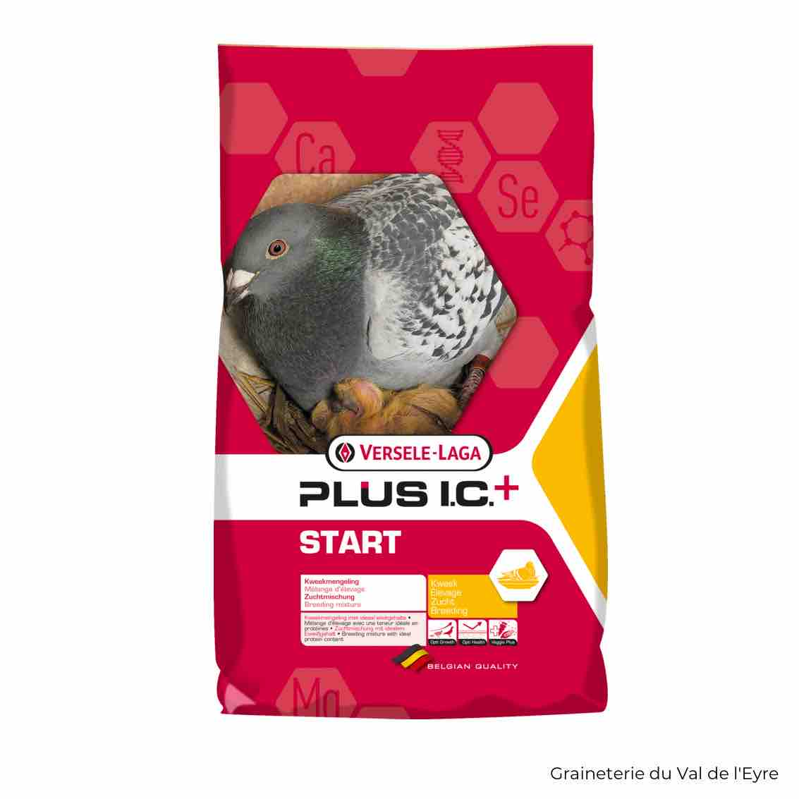 ic-plus-star.jpg